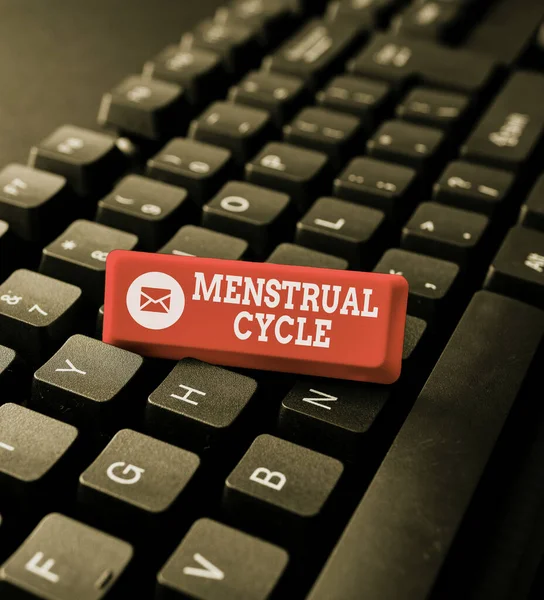 Fogalmi felirat Menstruációs ciklus. Üzleti áttekintés a petefészkekben és a méhnyálkahártyában bekövetkező változások havi ciklusáról Gépelési termék címe és leírása, fontos adatkódok beírása — Stock Fotó