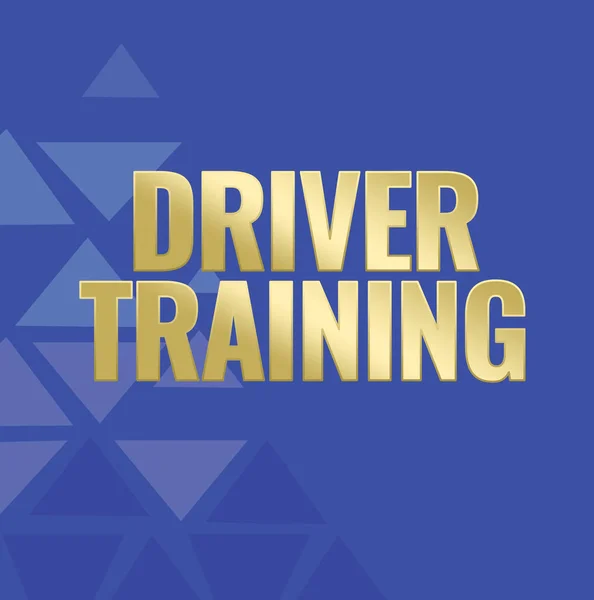 Text sign showing Driver Training. Business concept prepares a new driver to obtain a driver s is license Line Illustrated Backgrounds With Various Shapes And Colours.