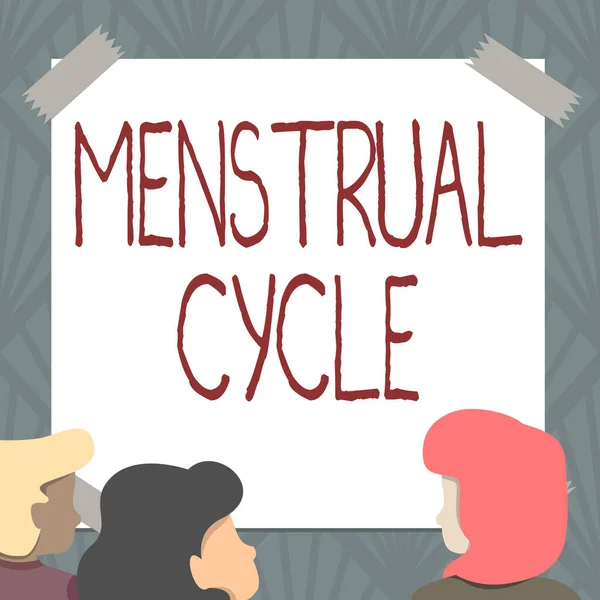 Pisanie tekstu Cykl menstruacyjny. Conceptual photo miesięczny cykl zmian w jajnikach i macicy podszewka Członkowie zespołu patrząc na Whiteboard burzy mózgów nowe rozwiązania — Zdjęcie stockowe