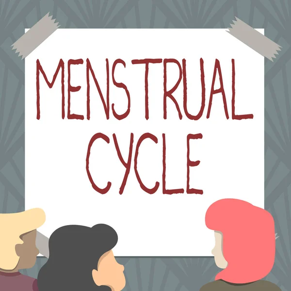 Escribir mostrando texto Ciclo Menstrual. Foto conceptual ciclo mensual de cambios en los ovarios y el revestimiento del útero Miembros del equipo Mirando la pizarra blanca Lluvia de ideas Nuevas soluciones — Foto de Stock