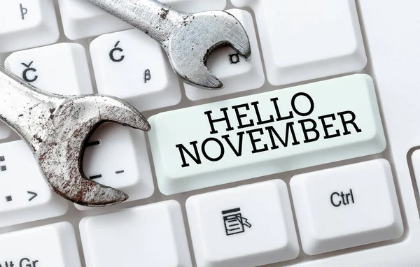 Schrijven met tekst Hallo November. Business idee Welkom in de elfde maand van het jaar Maand voor december Uitgeverij Typewritten Fantasy Short Story, Typing Online Memorandum — Stockfoto