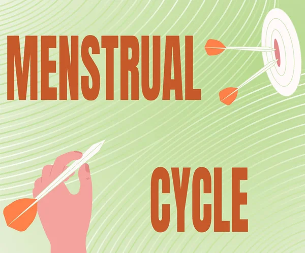 Inspiráló szöveg Menstruációs ciklus. Fogalmi fotó havi ciklus változások a petefészkek és a méhnyálkahártya Bemutató Üzenet Ütés Cél koncepció, Absztrakt bejelentési cél. — Stock Fotó