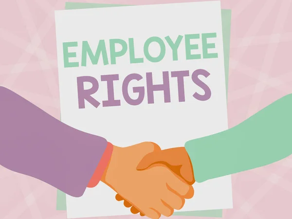 Writing displaying text Employee Rights. Business concept All employees have basic rights in their own workplace Two Men Drawing With Empty Paper Shake Hands Presenting Agreement. — Stockfoto