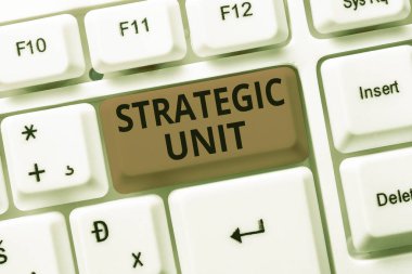 Stratejik Birim metni gösteriliyor. İşletme vitrini kâr merkezi ürün sunma ve piyasa segmentine odaklandı. Soyut Sunum Etik Hacker, Yaratıcı Notlar ve Fikirler Yazıyor