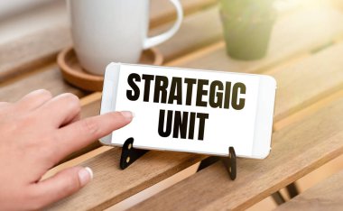 Stratejik Birim kavramsal gösterimi. İş fikri kar merkezi ürün sunma ve piyasa segmentine odaklandı. İnsanları Birleştiren Ses ve Görüntü Çağrı Yetenekleri