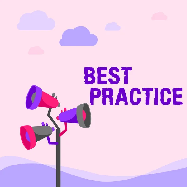 Text sign showing Best Practice. Internet Concept Method Systematic Touchstone Guidelines Framework Ethic Pole Megaphones Drawing Making Announcement To An Open Space. — Foto Stock