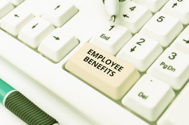 Kavramsal Başlık Personel Yararları. İşverenlerin internetten mal alıp satan işçilere ödediği iş konsepti, İnternet üzerinden ürün listeleme