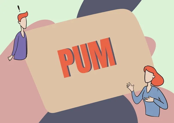 Text sign showing Pum. Word for unwanted change that can be performed by legitimate applications Lady Illustration Having Exploratory Conversation With Her Colleague. — Foto Stock