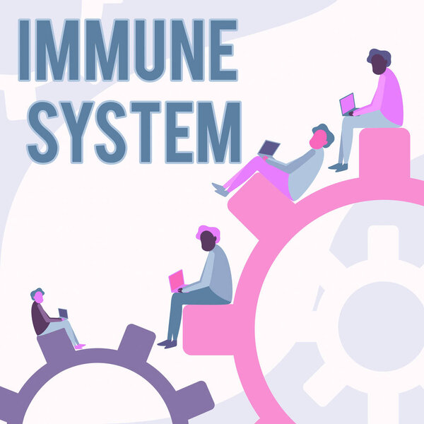 Inspiration showing sign Immune System. Word Written on Complex network work together to defend against germs Four Teammates Drawing Sitting Gears Using Laptop Showing Progress.