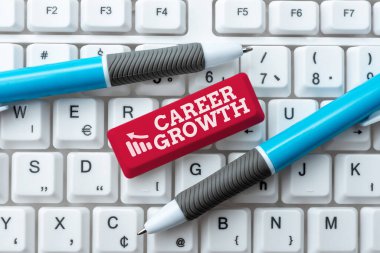 Kariyer Gelişimi 'ni gösteren bir tabela. Yeni Hesap Tabloları Yazan, Dosya Sistemleri Konseptini Düzenleyen Şirkette İş Yaklaşımı Geliştirme Hırsları Uyarlama Motivasyon İlerlemesi
