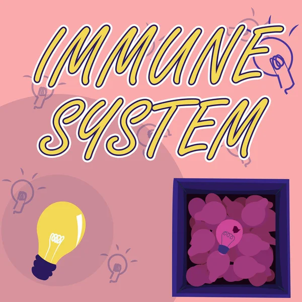Sign displaying Immune System. Conceptual photo a bodily system that protects the body from foreign substances Glowing Light Bulb Drawing In Box Displaying Fresh Discoveries. — Stock Photo, Image