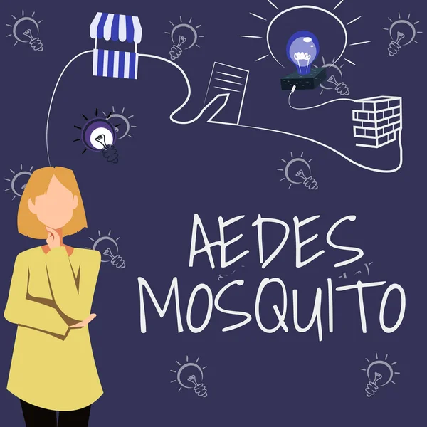Hand writing sign Aedes Mosquito. Business concept the yellow fever mosquito that can spread dengue fever Woman Innovative Thinking Leading Ideas Towards Stable Future.