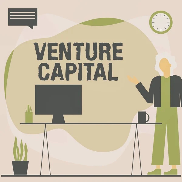 Κείμενο που δείχνει Venture Capital. Χρηματοδότηση επιχειρηματική ιδέα που παρέχονται από τις επιχειρήσεις σε μικρές πρώιμες γυναίκες Μόνιμη Γραφείο Χρησιμοποιώντας Laptop Με Φούσκα Ομιλίας Εκτός από το βάζο εργοστάσιο. — Φωτογραφία Αρχείου