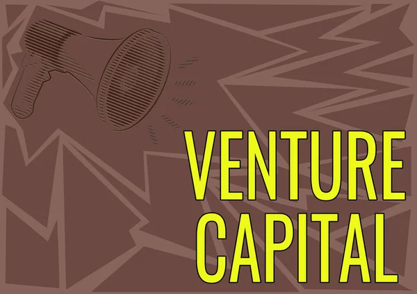 Escrevendo exibindo texto Venture Capital. Foto conceitual Venture Capital Ilustração de um alto-falante Megafones fazendo novos anúncios. — Fotografia de Stock