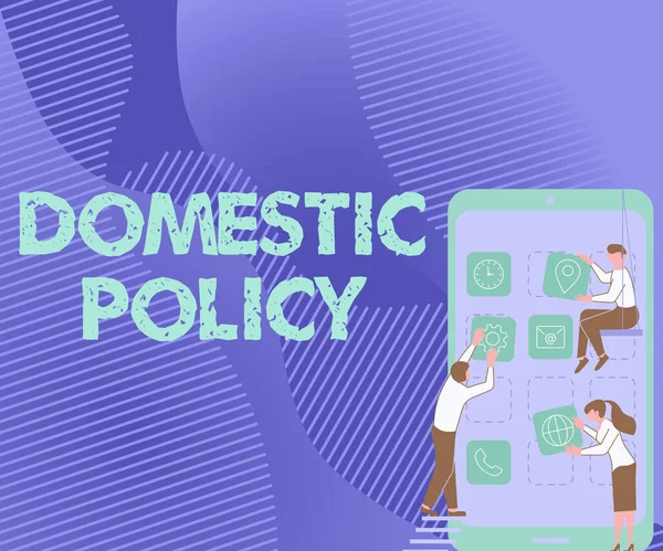 Scrittura visualizzazione del testo Domestic Policy. Business showcase Azioni intraprese da un governo nazionale per affrontare le questioni Tre colleghi che trasportano S Decorating Mobile Application. — Foto Stock