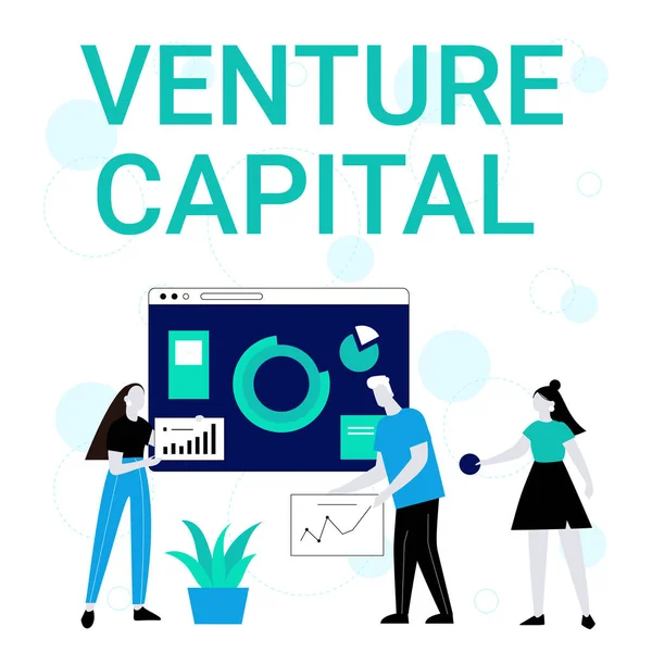 テキスト表示｜Venture Capital。ビジネスアプローチ｜ベンチャーキャピタル従業員がスキル向上のためのアイデアを共有する. — ストック写真