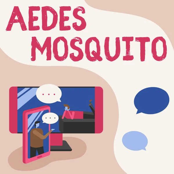 Texte manuscrit Aedes Mosquito. Aperçu des affaires le moustique de la fièvre jaune qui peut propager la dengue Deux collègues partageant leurs pensées avec des bulles d'expression qui sortent des téléphones — Photo