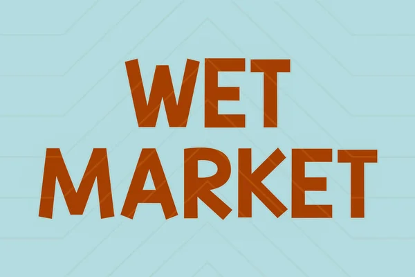 Didascalia del testo che presenta Wet Market. Parola per il mercato che vende prodotti a base di pesce fresco e altri prodotti deperibili Linea sfondi illustrati con varie forme e colori. — Foto Stock