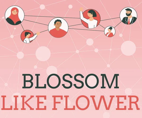 Escribiendo mostrando texto Blossom Like Flower. Palabra escrita en persona con buenas cualidades que irradia amor, felicidad y belleza Diferentes personas en círculos charlando juntas y conectadas Social —  Fotos de Stock