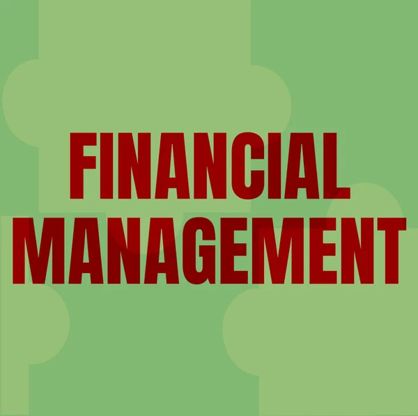 Segno di testo che mostra la gestione finanziaria. Internet Concept organizzazione e controllo delle attività finanziarie Linea sfondi illustrati con varie forme e colori. — Foto Stock