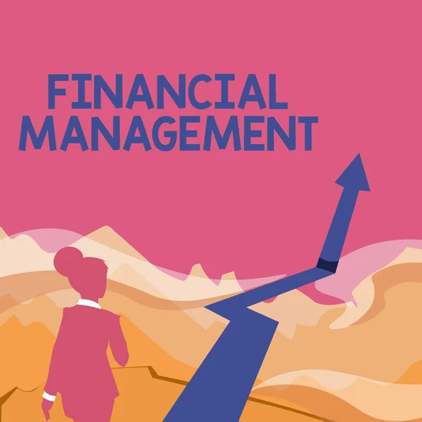 Escribir mostrando texto Gestión Financiera. Foto conceptual que organiza y controla las actividades financieras Lady Walking Towards Mountains With An Arrow Marking Success — Foto de Stock