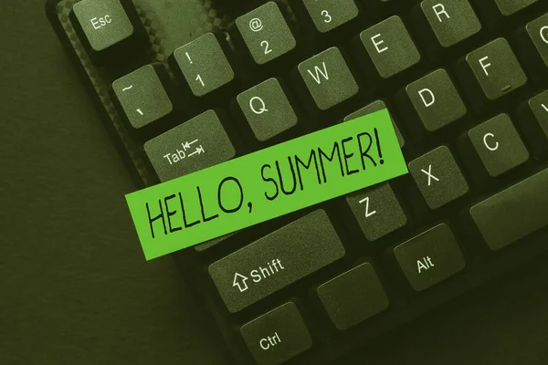 Kézírás jel Hello, Summer. Word for greeting, amikor az év forró évszakát tapasztaljuk Absztrakt Adakozás Történet Írási Tippek, Ajánlat Online Könyvelési szolgáltatások — Stock Fotó