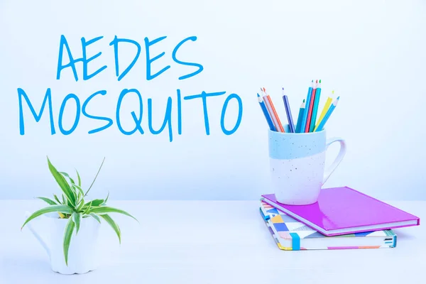 Handschrift tekst Aedes Mosquito. Word Geschreven op de gele koorts mug die knokkelkoorts kan verspreiden Tidy Workspace Setup, Bureau Gereedschap, Smart Office — Stockfoto