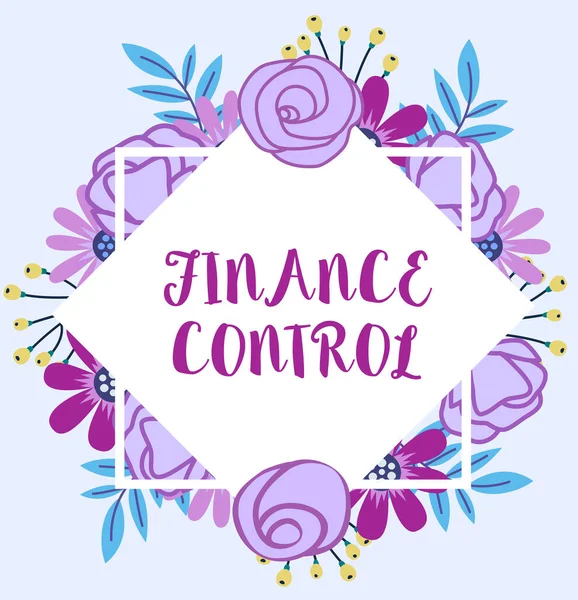 Znak tekstowy pokazujący kontrolę finansową. Procedury podejścia biznesowego, które są wdrażane w celu zarządzania finansami Blank Frame ozdobione abstrakcyjnych zmodernizowanych formularzy kwiaty i liści. — Zdjęcie stockowe