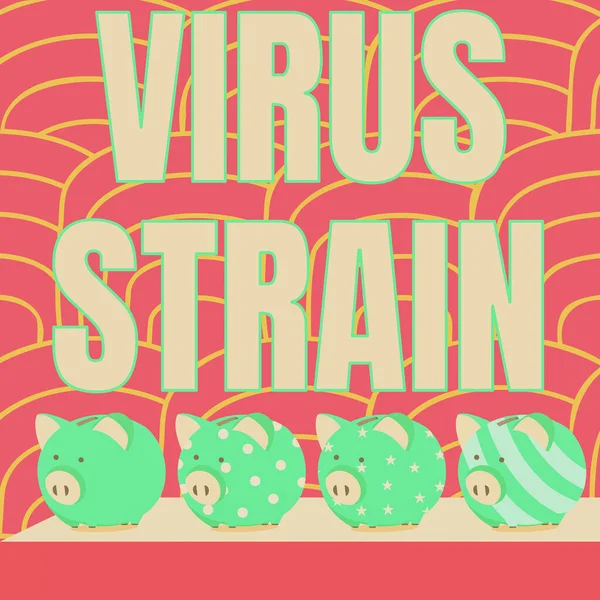 Visualizzazione concettuale Virus Strain. Business vetrina Virus ceppo più salvadanaio disegno sul tavolo con sfondo a strisce. — Foto Stock