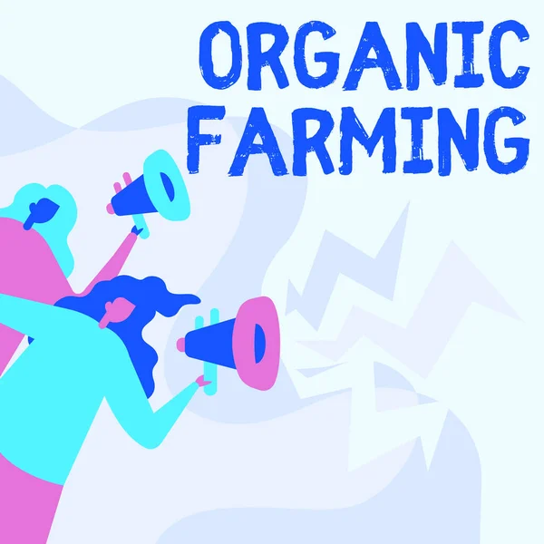 Skriva text om ekologiskt jordbruk. Affärsidé ett integrerat lantbrukssystem som strävar efter hållbarhet Kvinnor som ritar innehav Megafoner Att tillkännage till allmänheten. — Stockfoto