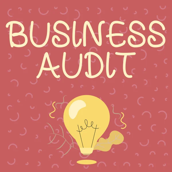 Tekstbord met Business Audit. Conceptueel fotoonderzoek van het financiële rapport van een organisatie Illuminated Light Bulb Drawing Plants Shell Showing Technology Ideas. — Stockfoto