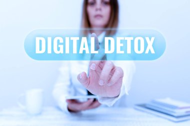 Dijital Detox 'u gösteren bir tabela. Kelime, bir kişi aygıt geliştirme, Gadget güncellemesi ve sunum teknik özelliklerini tartışmayı bıraktığında yazıldı