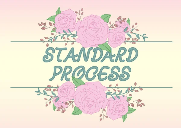 Konceptvisning Standard Process. Affärsidé regler som görs för att matchas med slutlig produktkvalitet ram dekorerad med färgglada blommor och oliage arrangerade harmoniserat. — Stockfoto