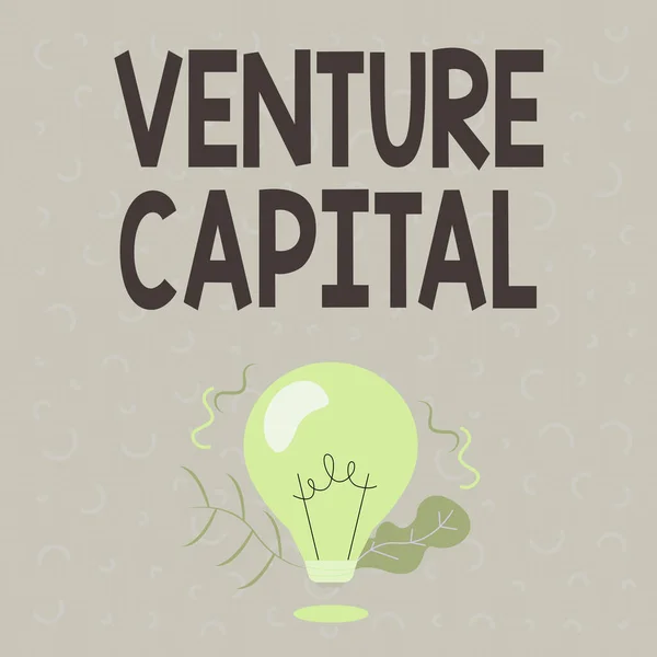 Podepsat zobrazení Venture Capital. Obchodní přístup Venture Capital osvětlené žárovky výkres rostlin Shell zobrazovací technologie nápady. — Stock fotografie