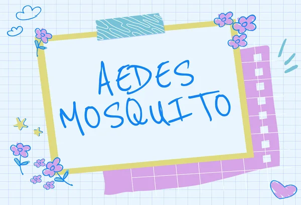 Text sign showing Aedes Mosquito. Concept meaning the yellow fever mosquito that can spread dengue fever Blank Frame Decorated With Abstract Modernized Forms Flowers And Foliage.