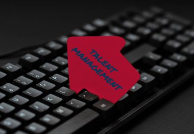 Kavramsal Yetenek Yönetimi. Bir Bilgisayara Eski Notlar Yazan, Duygusal Roman Oluşturan yetenekli çalışanları işe almak ve tutmak iş yaklaşımı