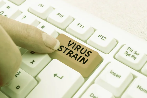Fogalmi felirat Vírus törzs. Üzleti ötlet Virus Strain Researching Software Development Solutions, Írás Advanc Program kódok — Stock Fotó