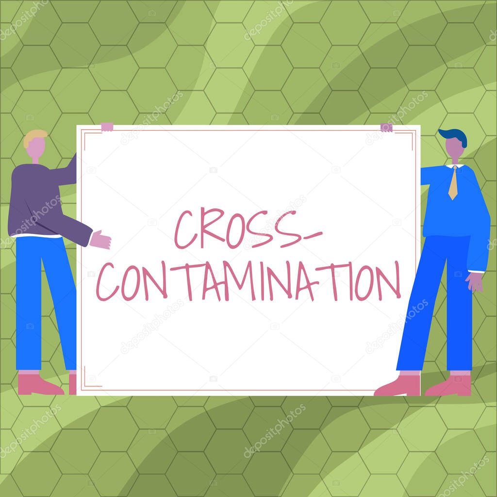 Text sign showing Cross Contamination. Word Written on Unintentional transmission of bacteria from one substance to another Two Men Drawing With Empty Paper Background Presenting New Ideas.