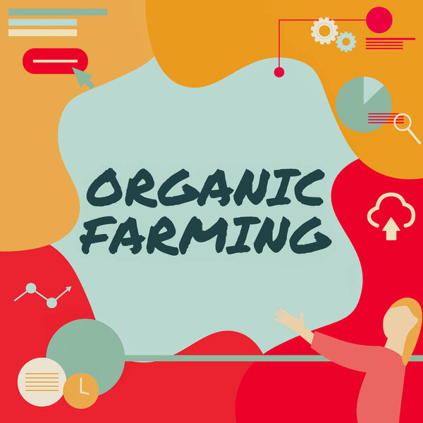 Почерк органического земледелия. Концептуальная фотография интегрированная система сельского хозяйства, которая стремится к устойчивому развитию Леди Рисование постоянный проектор пульт дистанционного управления Представление Pie диаграммы