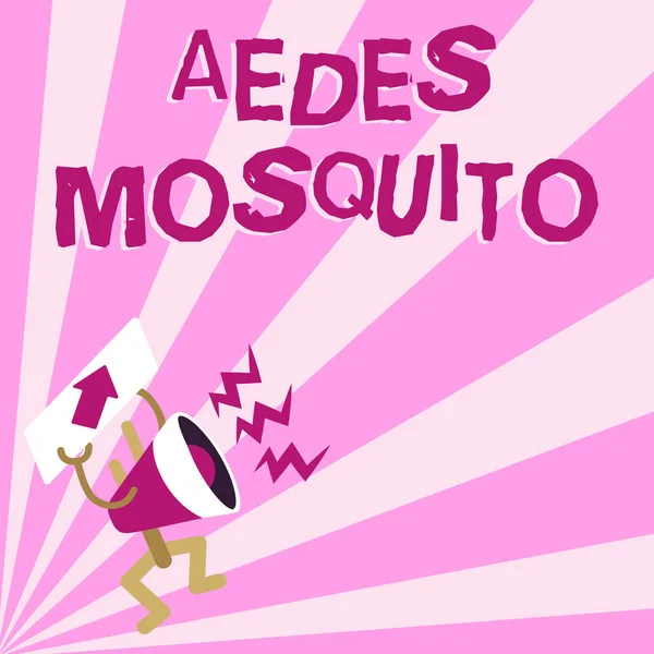 Escrevendo exibindo texto Aedes Mosquito. Palavra escrita no mosquito da febre amarela que pode espalhar a dengue Megafone exibindo a mensagem importante que expõe o relatório detalhado — Fotografia de Stock