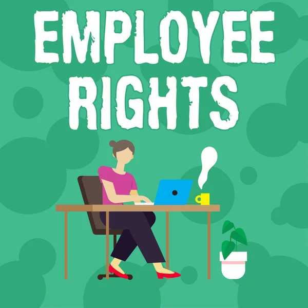 Bildunterschrift: Arbeitnehmerrechte. Vorzeigeunternehmen Alle Mitarbeiter haben Grundrechte am eigenen Arbeitsplatz Frau sitzt mit Laptop Rückansicht Aktiv von zu Hause aus die Arbeit erledigen — Stockfoto