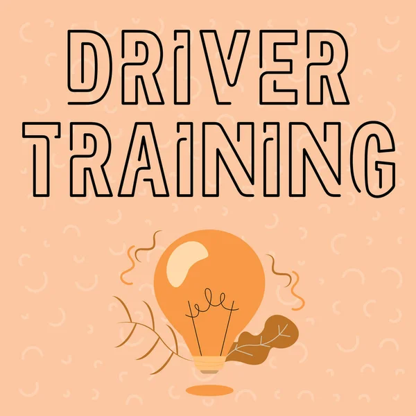 Text caption presenting Driver Training. Business idea prepares a new driver to obtain a driver s is license Illuminated Light Bulb Drawing Plants Shell Showing Technology Ideas.