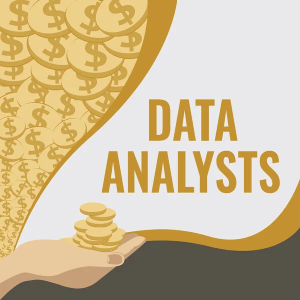 Analisti dei dati di didascalia concettuale. Panoramica aziendale Programmatore Progettazione e creazione di report Identifica i modelli Palm trasporto di denaro per i piani ipotecari per la casa e l'ufficio. — Foto Stock