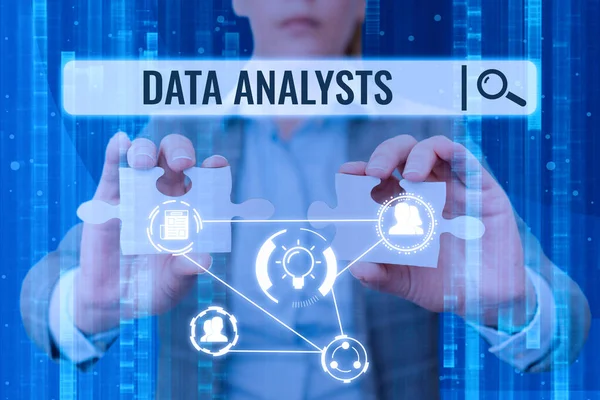 Text caption presenting Data Analysts. Concept meaning Programmer Design and Create Report Identifies patterns Lady in suit holding two puzzle pieces representing innovative thinking.