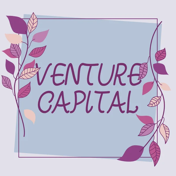 Κείμενο που δείχνει έμπνευση Venture Capital. Χρηματοδότηση επισκόπηση των επιχειρήσεων που παρέχονται από τις επιχειρήσεις σε μικρές πρώιμο στάδιο αυτά Πλαίσιο Διακοσμημένα με πολύχρωμα λουλούδια και φυλλώματα Εναρμονισμένα. — Φωτογραφία Αρχείου