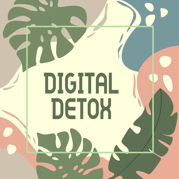 디지털 디톡스 (Digital Detox) 를 사용 한다. 전자 기기의 인터넷 콘셉트 무료 접속 해제 해제 해제 해제 블랭크 프레임 설명 현대화 된 형태의 꽃 및 안개. — 스톡 사진