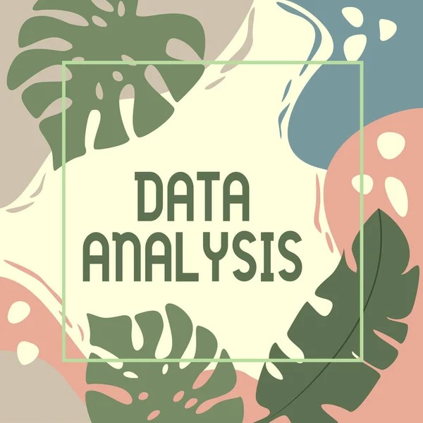 Tekst met inspiratie Data Analysis. Business showcase Vertaal cijfers naar Analytische Conclusie Voorspelling Blanco Frame versierd met abstracte gemoderniseerde vormen Bloemen en gebladerte. — Stockfoto