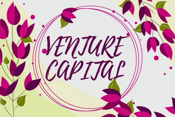 テキスト表示｜Venture Capital。中小企業が提供するビジネスショーケースファイナンス抽象的な近代化されたフォームの花や葉で飾られたブランクフレーム. — ストック写真