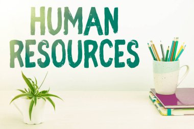 İnsan Kaynakları 'nı gösteren bir ilham. İş Fikri: Düzenli Çalışma Alanı Ayarları, Masa Aletleri Yazma, Akıllı Ofis, Düzenli Çalışma Aletleri Örgütü 'nün iş gücünü kimin oluşturduğunu göstermek