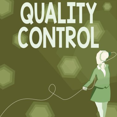 Kalite Kontrolü sunan metin başlığı. İş genel değerlendirmesi, standartlara göre satılan ürün ya da servisin bir ampul tarafından temsil edilen fikirlerle dolu takım elbiseli bir kadın tarafından sigortalanmasını sağlar..